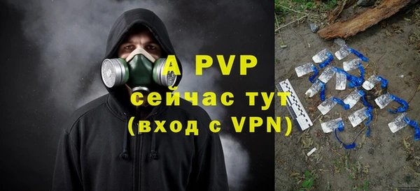 стафф Магадан