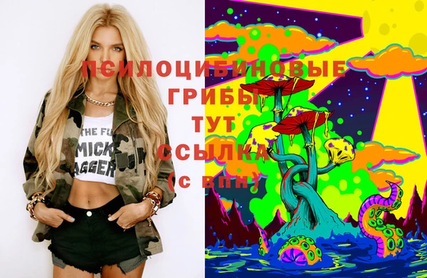 стафф Магадан