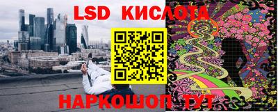 ПСИЛОЦИБИНОВЫЕ ГРИБЫ Можга