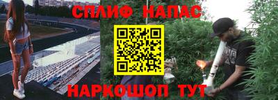 ПСИЛОЦИБИНОВЫЕ ГРИБЫ Можга