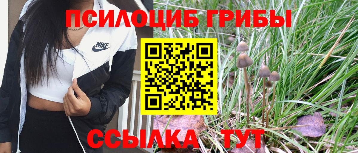 Галлюциногенные грибы Cubensis  Вход с VPN  Липецк  Галлюциногенные грибы GOLDEN TEACHER 