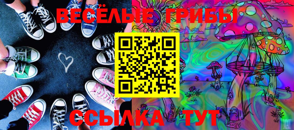 Галлюциногенные грибы Magic Shrooms Липецк